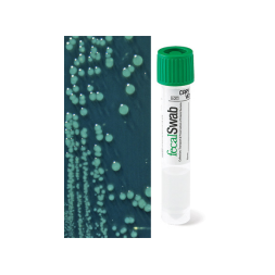 Сваб-система FecalSwab, велюр-тампон, САRY BLAIR, 2 мл, 12х80 мм