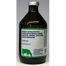 Вакцина поливалентная против лептоспироза свиней 17 доз 100мл ВБФ