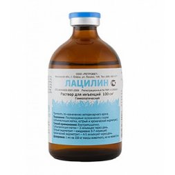 Лацилин, раствор для инъекций, 100 мл