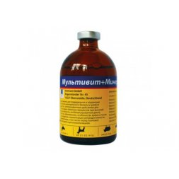 Мультивит + Минералы, раствор для инъекций, 250 мл