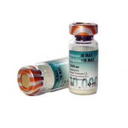 Вакцина Нобилис IB MA 5 10000 доз №10 (упак.)