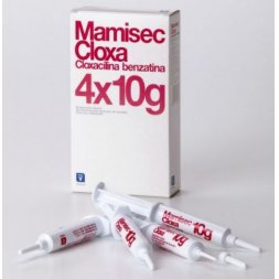 Мамисек Клокса, суспензия для интрацистернального введения, 10 мл №4 (упак.)