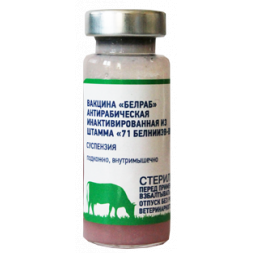 ВАКЦИНА «БЕЛРАБ» АНТИРАБИЧЕСКАЯ ИНАКТИВИРОВАННАЯ ИЗ ШТАММА «71БЕЛНИИЭВ-ВГНКИ» 10доз ВБФ