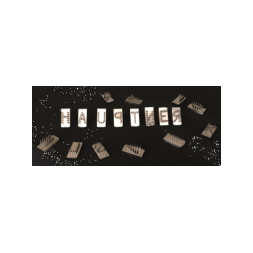 Набор алфавитных букв к щипцам татуировочным A-Z, высота 7 мм, Хауптнер, 71472000